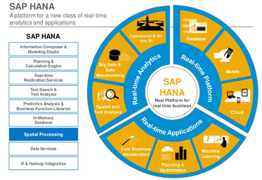 SAP HANA Hosting in India